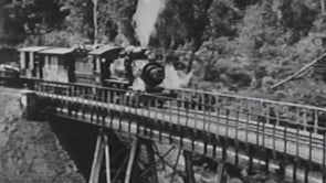 The Africa Passion (1992)